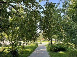 В Бугульме 3 августа облачно с прояснениями