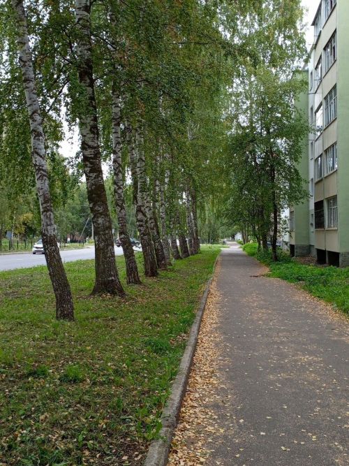 В Бугульме 8 сентября до 23 градусов тепла