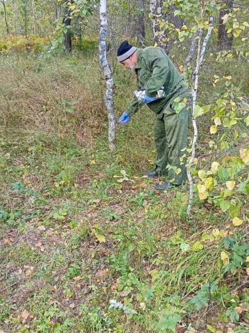 В Бугульминском районе проводится профилактика бешенства у диких животных