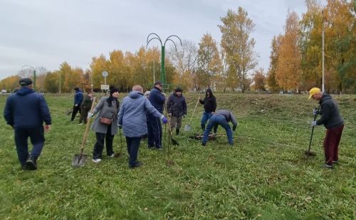 Бугульминцев приглашают на массовую посадку деревьев