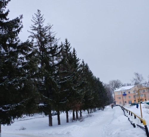 В Бугульме 10 марта переменная облачность