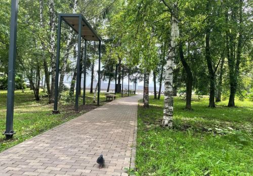 20 июля в Бугульме тепло и малооблачно