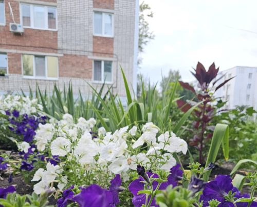 В Бугульме стартовал конкурс по благоустройству
