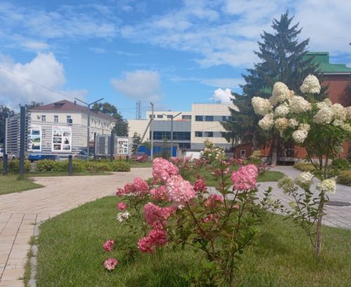 Погода в Бугульме 14 августа