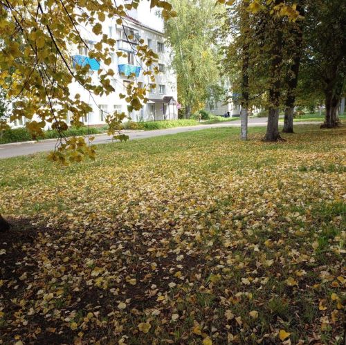 В Бугульме 25 сентября похолодает