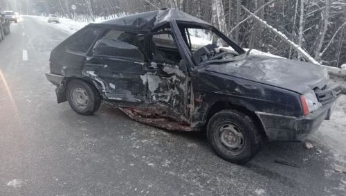 Лихач на «ВАЗе» сбил лося и влетел в «Ладу» под Елабугой