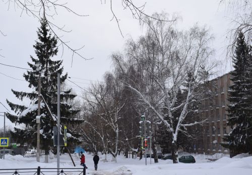Сегодня в Бугульме малооблачно, без осадков