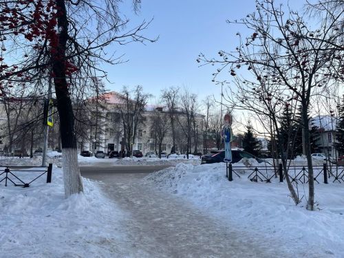 В Бугульме 24 января будет облачно с прояснениями