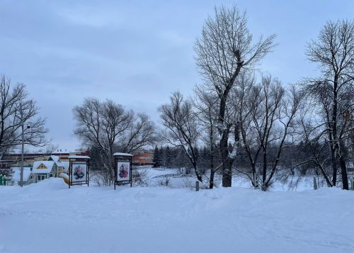 В Бугульме 8 января сохранится морозная погода