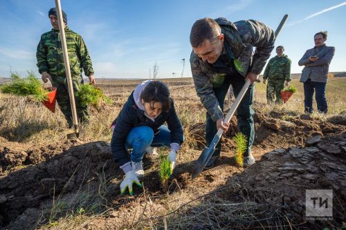 В Татарстане в пятый раз пройдет Всероссийская акция «Сохраним лес»