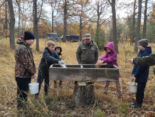 В лесах Бугульминского района вновь появились столовые для диких животных