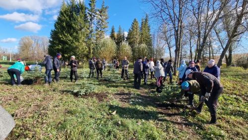 В Бугульминском районе появилась аллея памяти участника СВО