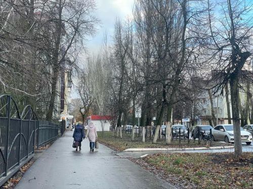 Дождь и туман ожидается в Бугульме 11 ноября