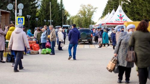Сельскохозяйственная ярмарка пройдет в Бугульме 11 ноября