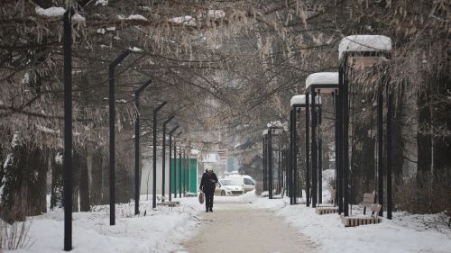 В Бугульме столбики термометров 22 декабря покажут +3 градуса