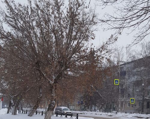 Сегодня в Бугульме облачно с прояснениями