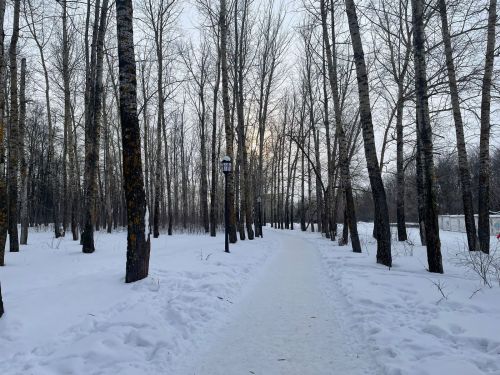 Сегодня в Бугульме преимущественно ясно