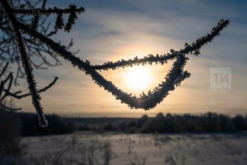 Гороскоп с 20 по 26 февраля