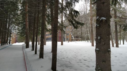 Сегодня в Бугульме ожидается ясная погода, без осадков