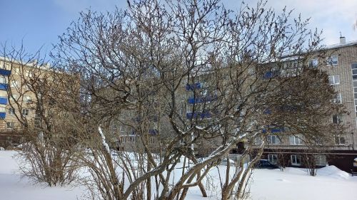 Погода в Бугульме в понедельник 20 февраля
