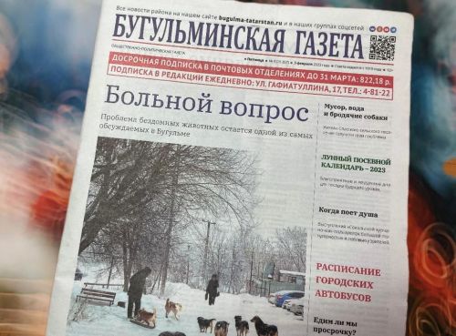 Проблема бездомных животных остается одной из самых обсуждаемых в Бугульме