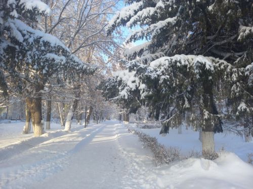 Облачную погоду обещают в Бугульме в воскресенье