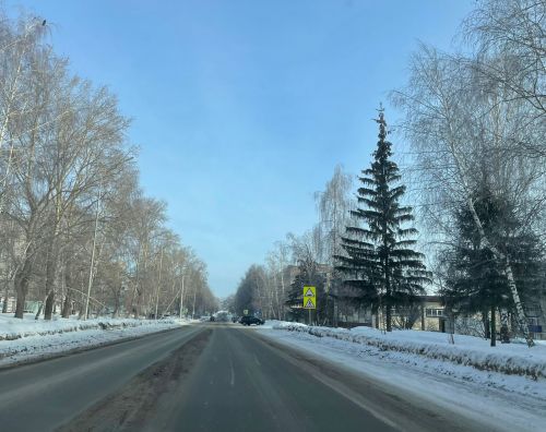 28 февраля синоптики обещают пасмурную погоду