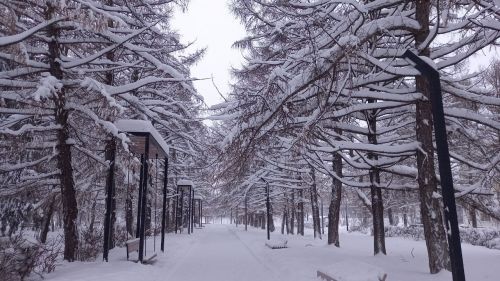 Погода в Бугульме в воскресенье 5 февраля