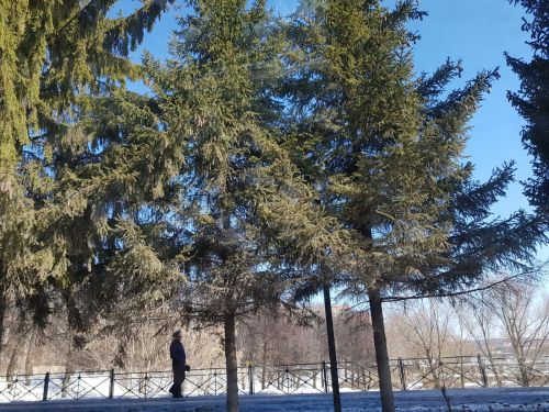 В Бугульме сегодня ясная погода