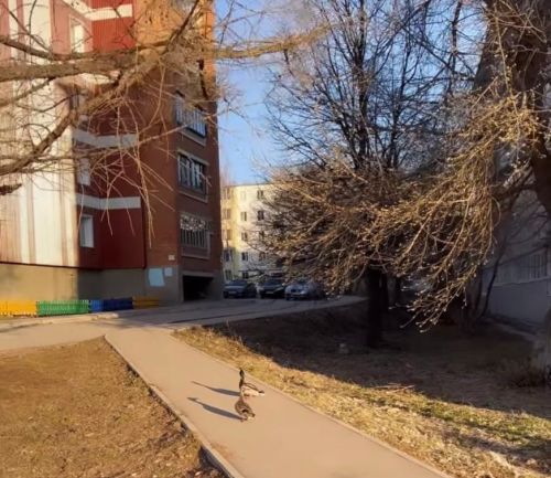 В Бугульме потеплеет до +15 градусов