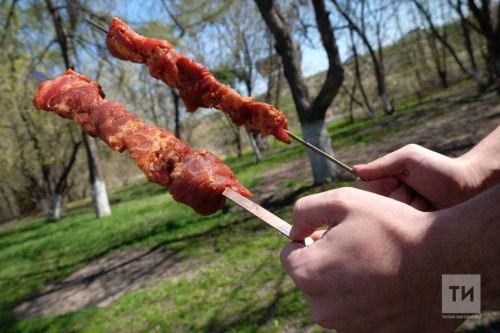 В Татарстане с 17 апреля вводится запрет на приготовление шашлыков