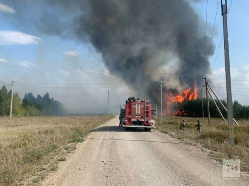 В Бугульминском районе загорелась листва