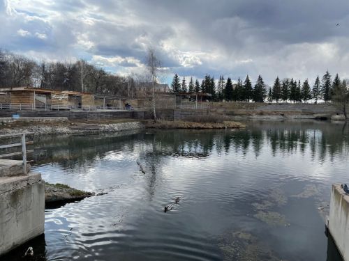 Сегодня в Бугульме ожидается сильный ветер