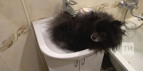 Стал известен график отключения горячей воды в Бугульме в летний период