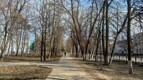 Погода в Бугульме во вторник, 11 апреля