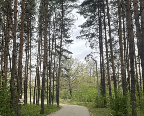 В Бугульме 13 мая переменная облачность