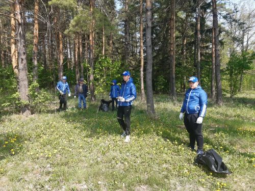 Молодогвардейцы Бугульмы навели порядок в лесном массиве