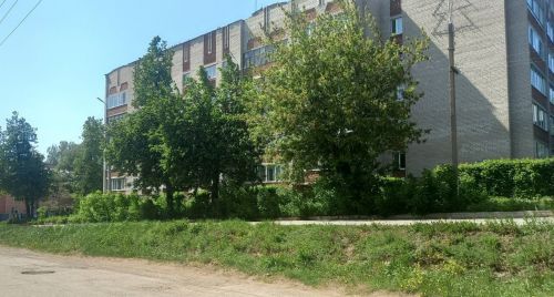 Погода в воскресенье порадует бугульминцев теплом и солнцем
