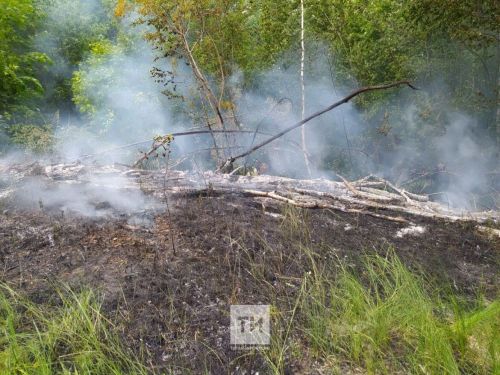 За неделю в Бугульме зарегистрировано 12 выездов пожарных подразделений