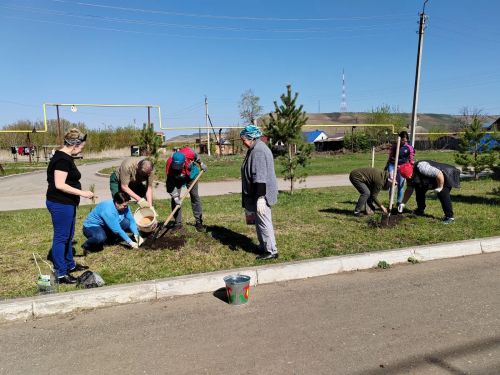 В Бугульминском районе провели общепоселковый субботник