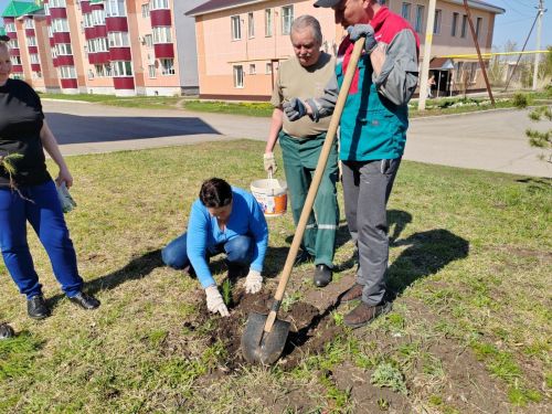 В Бугульминском районе провели общепоселковый субботник