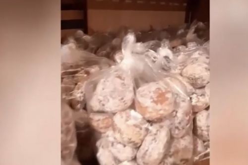 В Бугульме полицейские прикрыли подпольный цех по изготовлению пряников