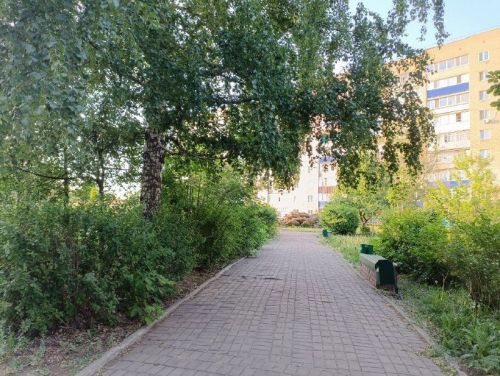 В Бугульме сегодня ожидается до 23 градусов тепла