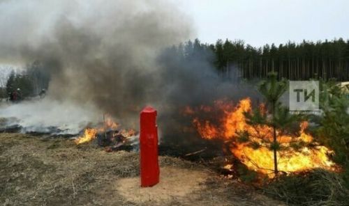 За неделю в пожарную часть Бугульмы поступило 11 вызовов