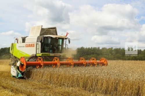 Бугульминским аграриям удалось собрать урожай на площади более 10 тыс. гектаров