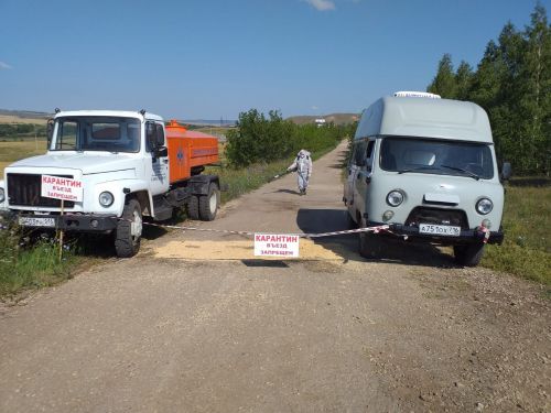 В Бугульме прошли командно-штабные учения по ликвидации очага африканской чумы свиней