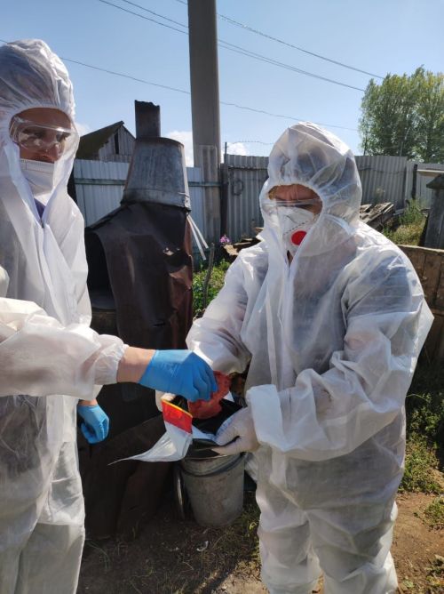 В Бугульме прошли командно-штабные учения по ликвидации очага африканской чумы свиней