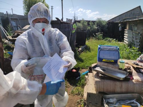 В Бугульме прошли командно-штабные учения по ликвидации очага африканской чумы свиней