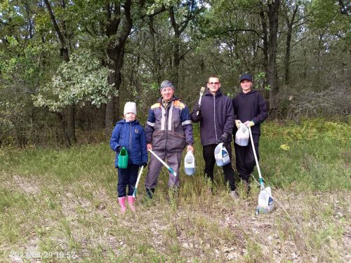 Бугульминские леса защищают от опасных насекомых