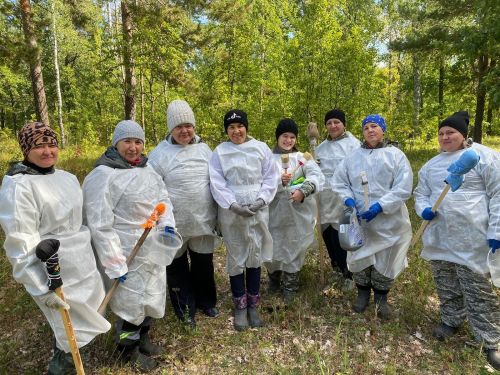 Бугульминские леса защищают от опасных насекомых